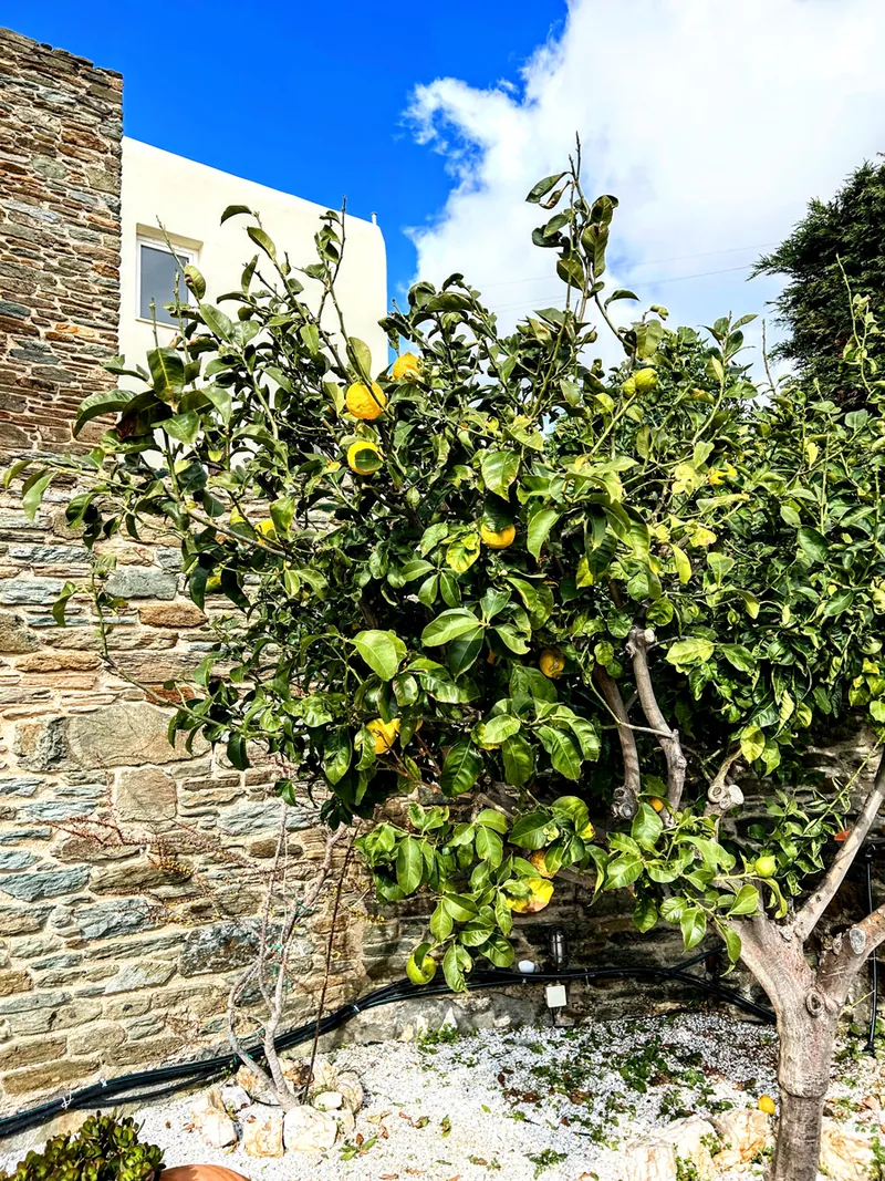 Aggelikis Island House