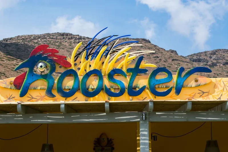 Rooster Guesthouse Rooms